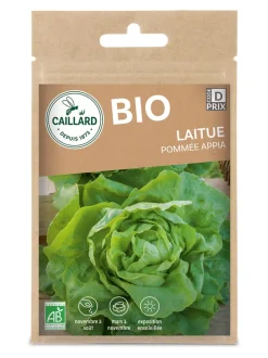 Laitue Pommée Appia Bio 2,5g CAILLARD