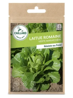 Laitue Romaine Verte Maraîchère 4g CAILLARD