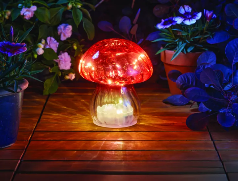 Lampe solaire Champignon cristal