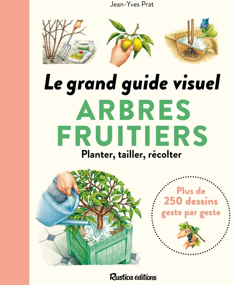 Le grand guide visuel des arbres fruitiers