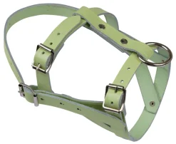 Licol mouton cuir vert