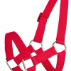 Licol brebis avec mentonnière rouge