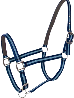 Licol doublé cuir cheval navy ciel PASSIONAL