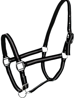 Licol doublé cuir cheval noir gris PASSIONAL