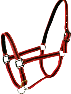 Licol doublé cuir cheval rouge noir PASSIONAL