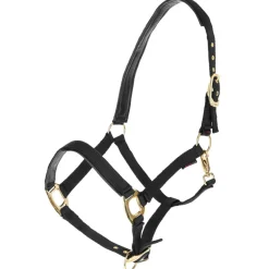 Licol TopLine noir - Full