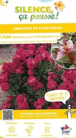 Lilas des indes "Enduring Red, Lilas d'été" Pot 10L