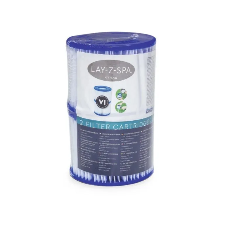 Lot de 2 cartouches Type VI pour spa gonflable Lay-Z-Spa