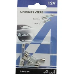Lot de 6 fusibles verre assortis