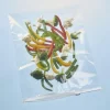 Lot de 10 sachets d'emballage avec curseur 15x10 cm
