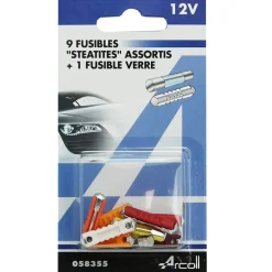 Lot de 9 fusibles steatites + 1 fusible verre
