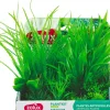 Lot de 6 plantes Plantkit medium n°1 ZOLUX