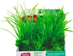 Lot de 6 plantes Plantkit medium n°1 ZOLUX