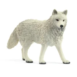 Loup Arctique