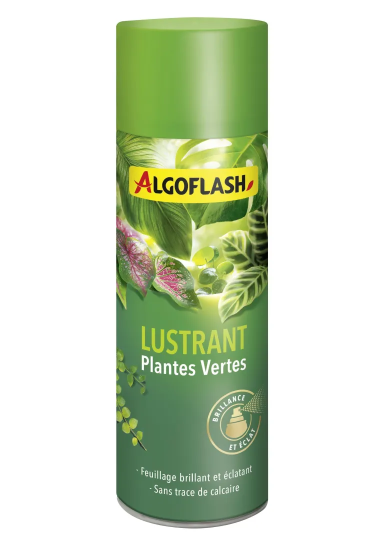Lustrant Plantes Vertes 250 mL