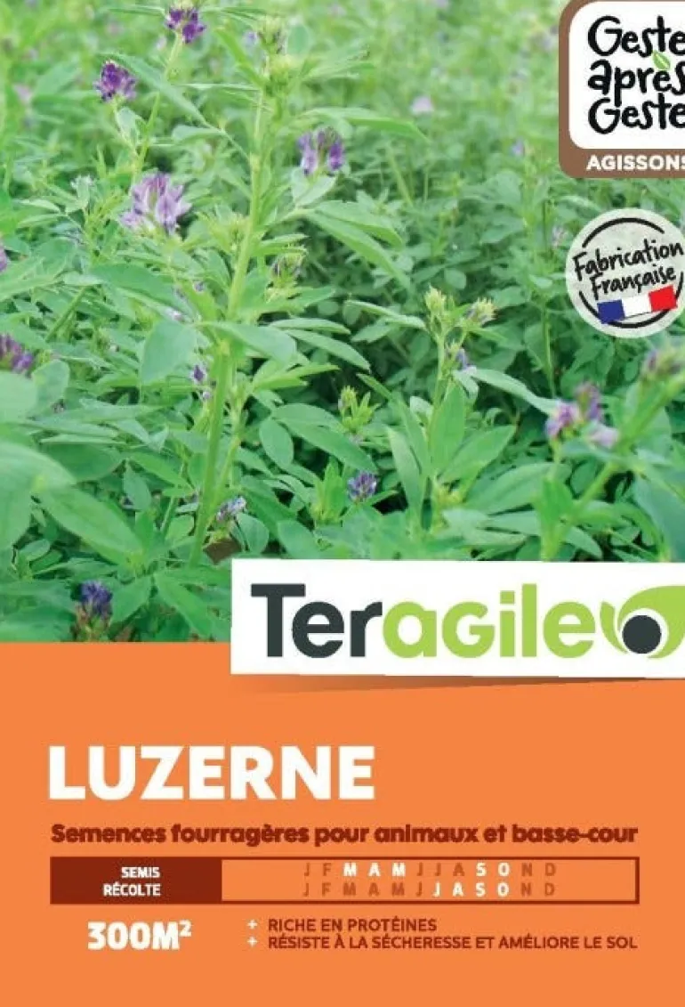 Luzerne 1kg