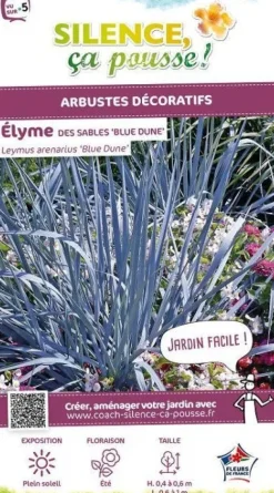 Élyme des sables "Blue Dune" Pot 4.5L SILENCE ÇA POUSSE