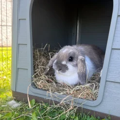 Maison pour animaux Pépita 2 Éco 76x59x55cm brun/vert
