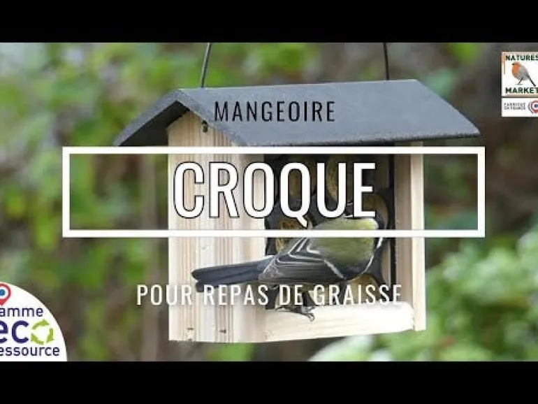 Mangeoire "Bar à Graisse" 2 blocs de graisse végétale