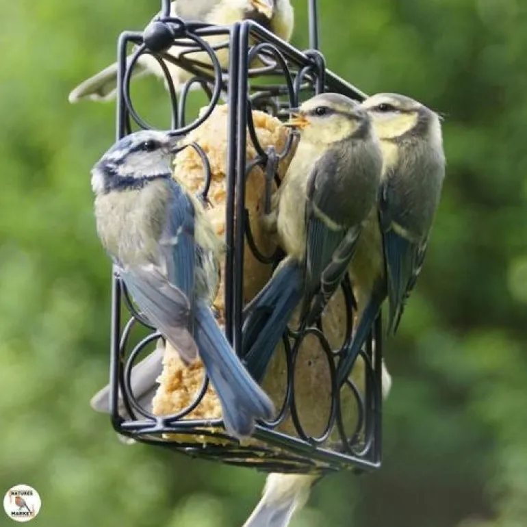 Mangeoire "Bulle" en métal pour repas de graisse végétale