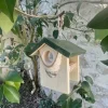 Mangeoire en bois Hut pour les oiseaux de la nature