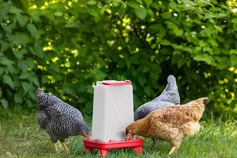 Mangeoire à pieds pour volailles rouge/blanc 3,5L KERBL