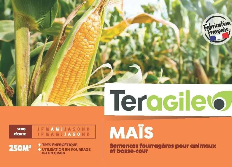 Maïs 250g