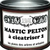 Mastic à cicatriser 2 - pot de 400g PELTON