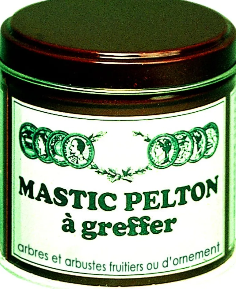 Mastic à greffer 200g PELTON