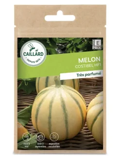 Melon Costibel Hf1 0,4g CAILLARD