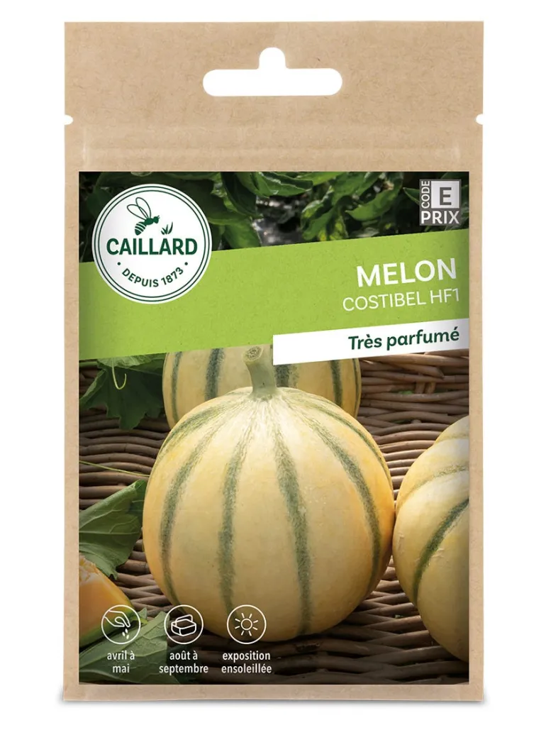 Melon Costibel Hf1 0,4g CAILLARD