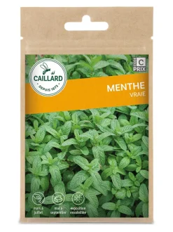 Menthe Vraie 0,5g CAILLARD