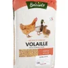 Mélange Basse-cour Super - Sac de 20 kg BELCANTO