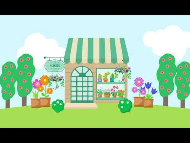 Mélange de fleurs "Des fleurs pour les abeilles" 6m²
