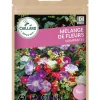 Mélange de Fleurs Grimpantes 7,5g CAILLARD