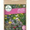 Mélange de Fleurs Jardin Médiéval 7,5g CAILLARD