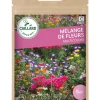 Mélange de Fleurs Multicolore 7,5g CAILLARD