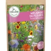 Mélange de Fleurs pour Papillons 30g CAILLARD