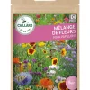 Mélange de Fleurs pour Papillons 7,5g CAILLARD