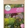 Mélange de Fleurs Vivaces Naines 7,5g CAILLARD