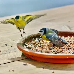 Mélange de graines pour Oiseaux de la nature - Sac de 4 kg