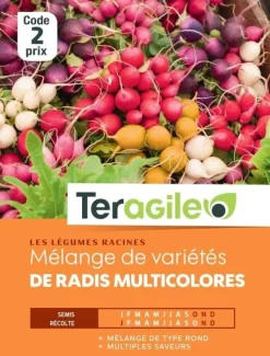 Mélange de variétés de Radis multicolores 8g TERAGILE