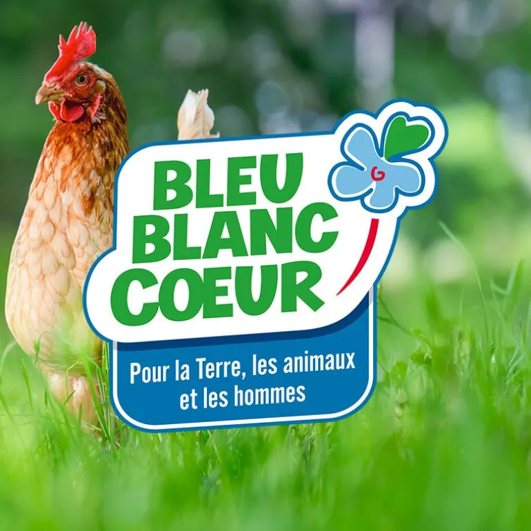 Mélange pour Poule Pondeuse Bleu-Blanc-Cœur - Sac de 20 kg