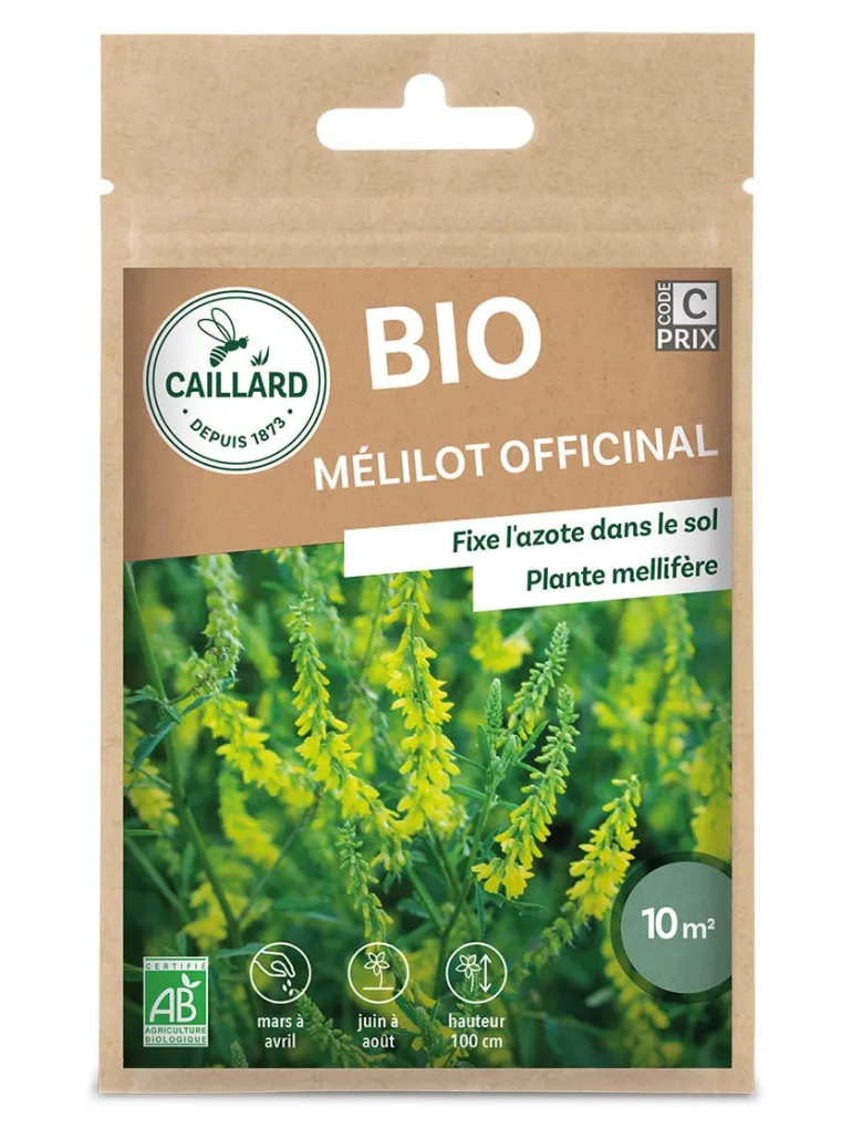 Mélilot Officinal fixe l'Azote dans le sol 4g Bio CAILLARD