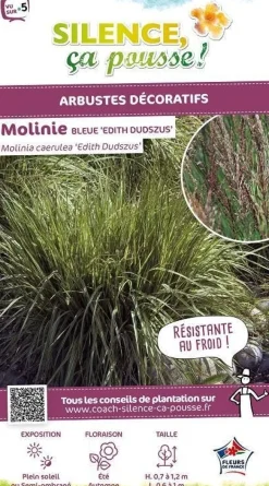 Molinie bleue "Edith Dudszus" Pot 5L SILENCE ÇA POUSSE