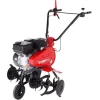Motobineuse Éco 55P C2 PUBERT