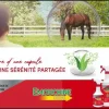 Émouchine total bidon 2,7L