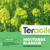 Moutarde blanche 500g