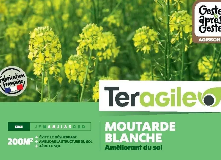 Moutarde blanche 500g