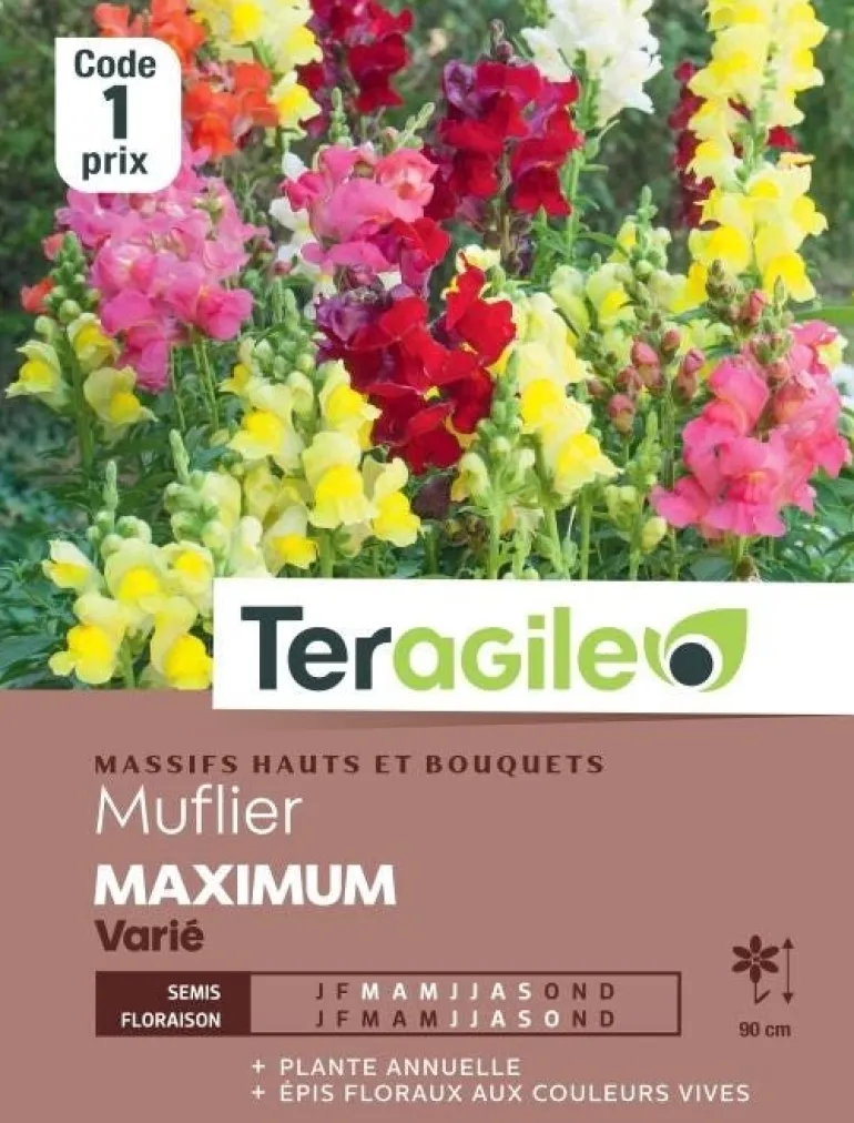 Muflier Maximum Varié 0,8g TERAGILE